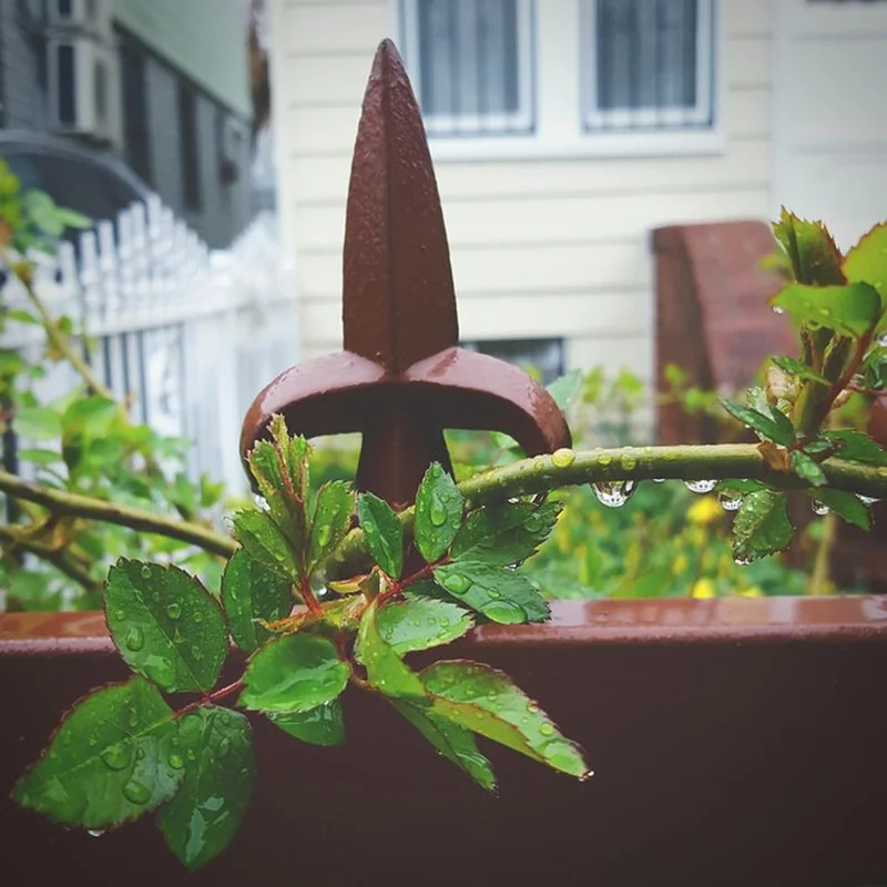 Jak zrobić kompostownik murowany w ogrodzie? Praktyczne porady