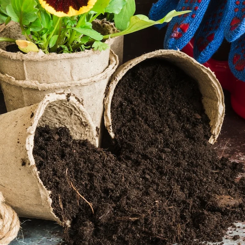 Kompostowniki ogrodowe – jak wybrać najlepszy model?