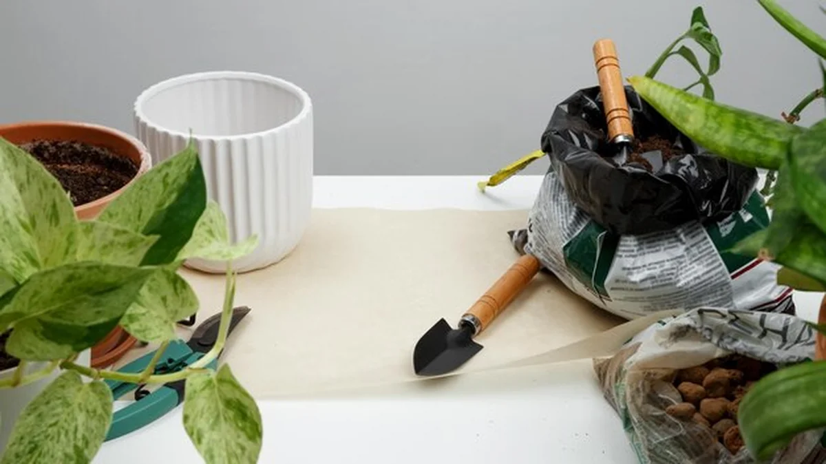 Koncepcja ogrodu domowego - przeszczepianie roślin w garnkach na białym stole