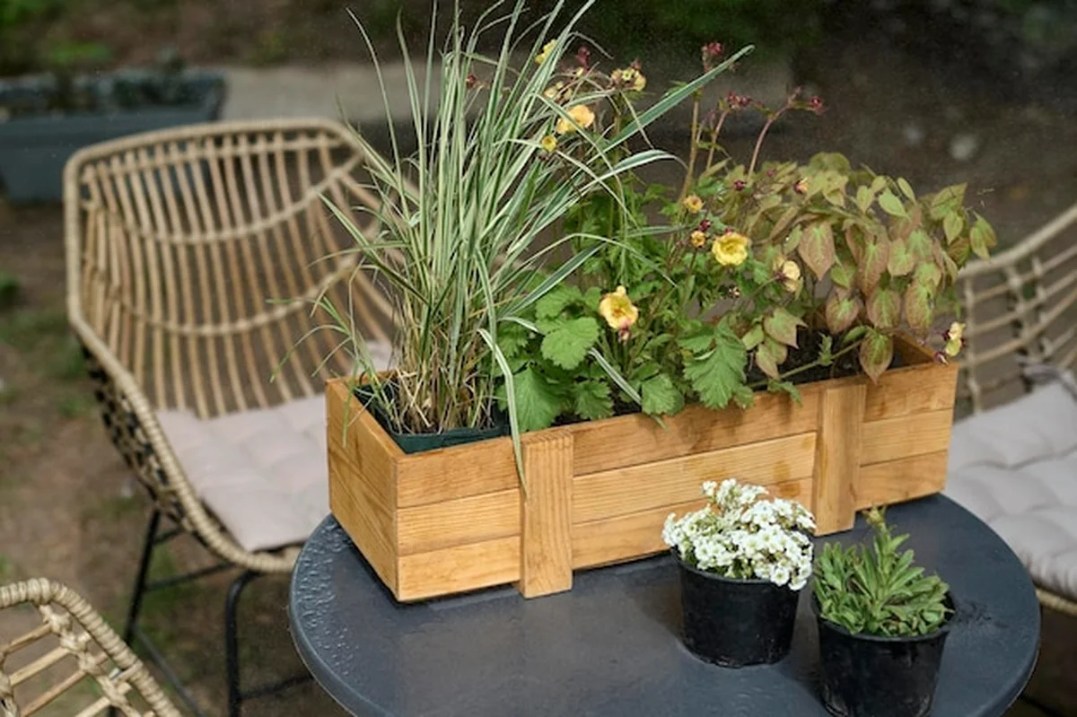Różne rośliny ozdobne w drewnianej doniczce na stole na tarasie