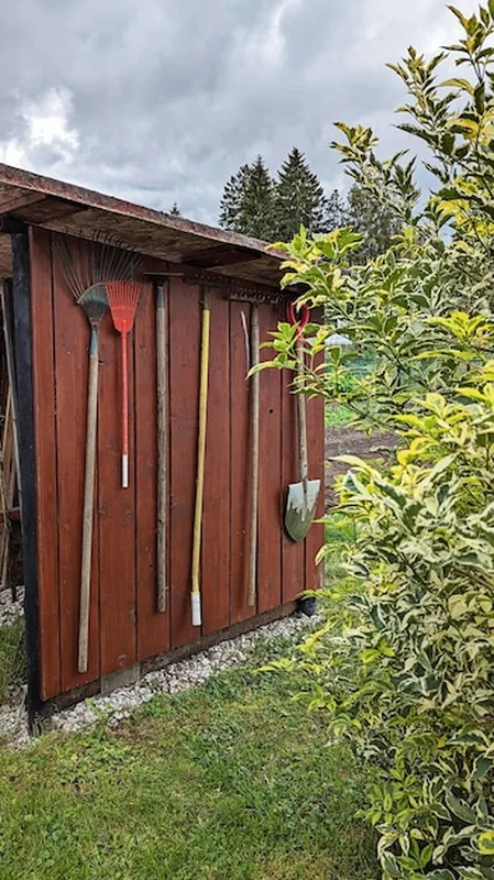 Narzędzia ogrodnicze na drewnianej ścianie szopy