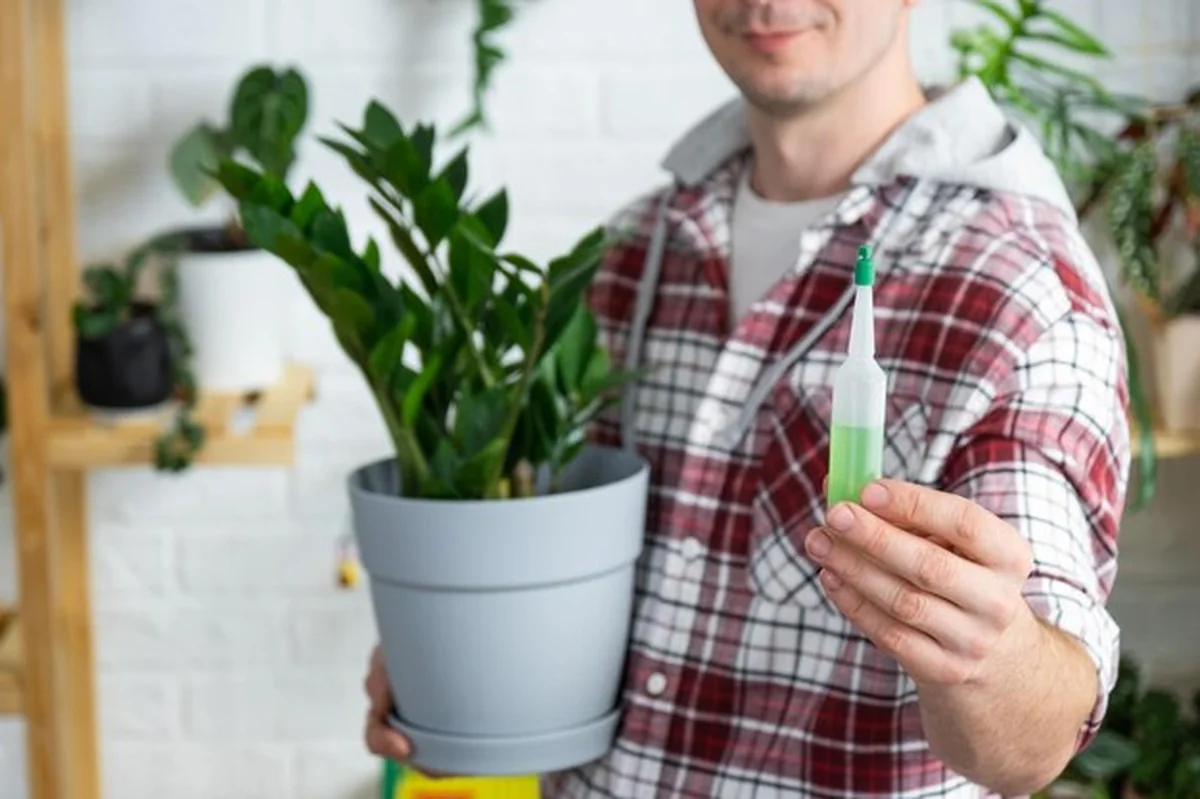 Nawóz kroplowy do roślin doniczkowych na tle butelki płynu i ręki osoby