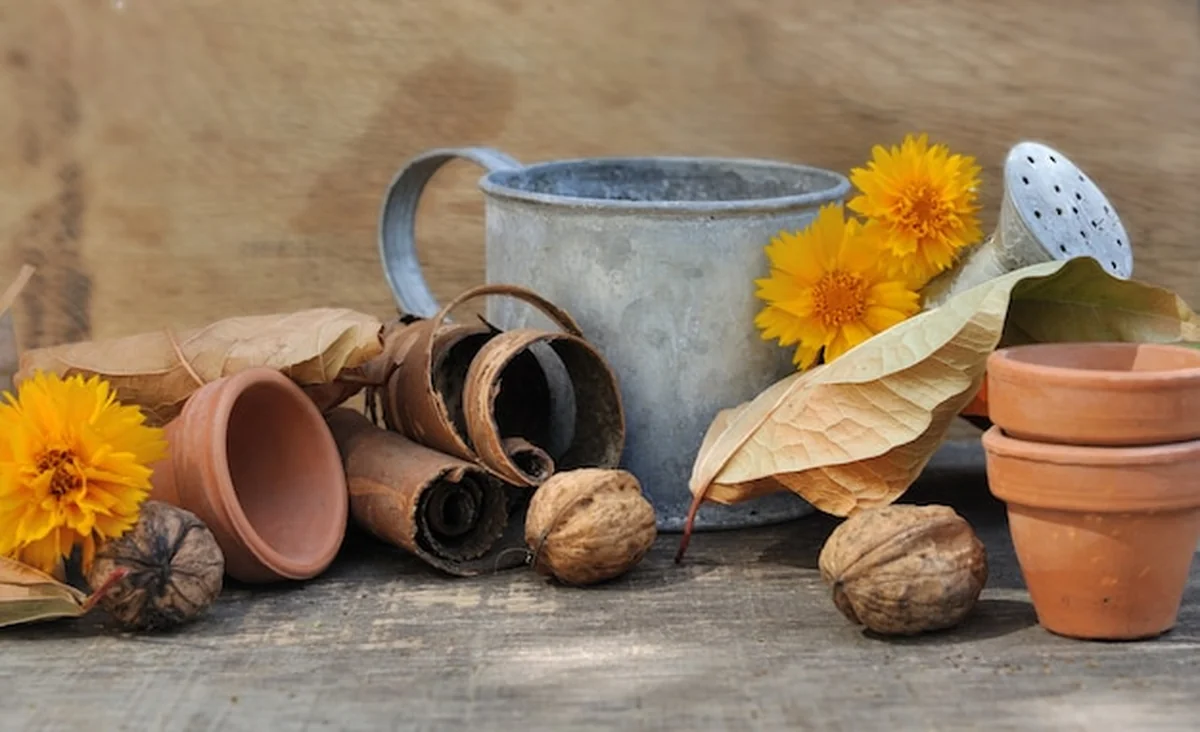 Jesienna kompozycja ogrodu