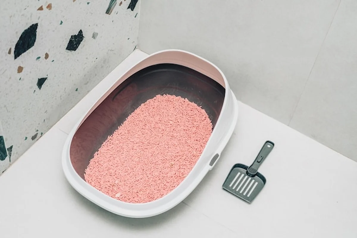 Duża tacka dla kotów z wypełnieniem sojowym