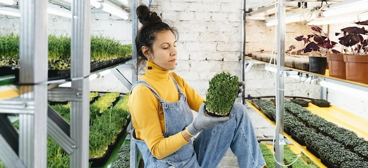 Młoda rolniczka uprawia mikrozieleń w ogrodzie