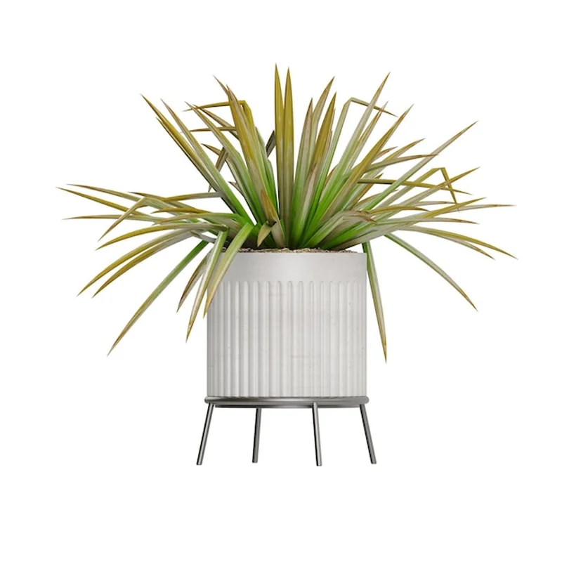 Pojemniki ogrodowe – jak przechowywać rośliny w skrzyniach?