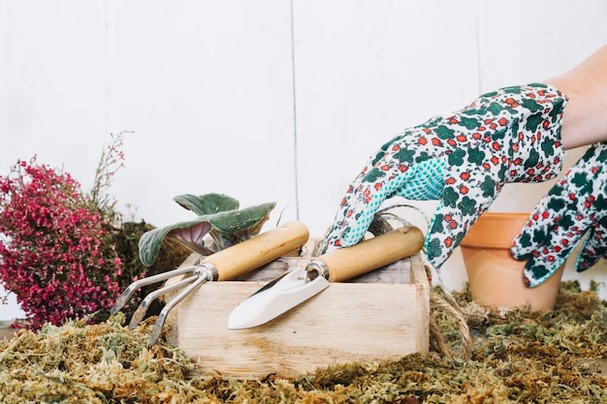 Uprawy rąk z narzędziami na polu