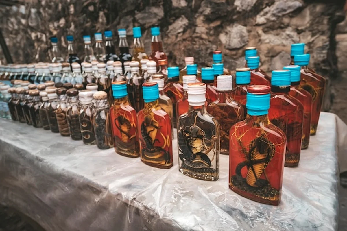 Butelka z alkoholem i kobra, zioła i tradycyjny napój z Laosu