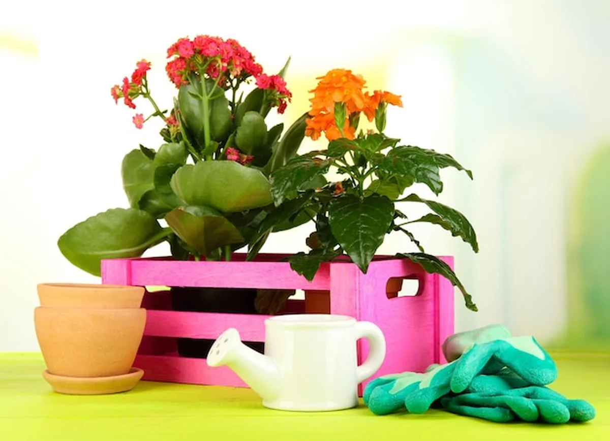 Piękne kwiaty w doniczkach na drewnianym stole