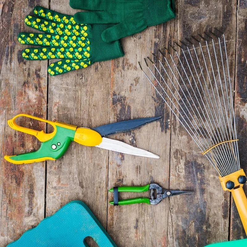 Sierpień w ogrodzie – prace ogrodowe i kalendarz ogrodnika