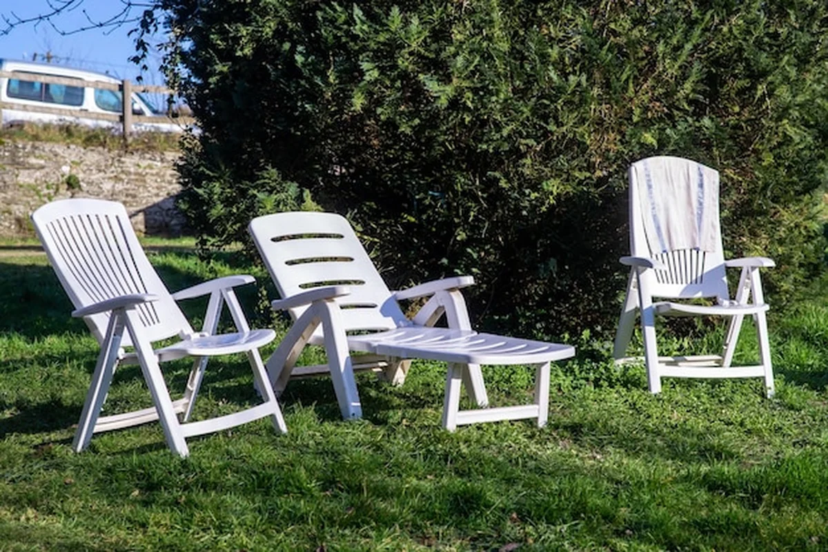 Puste leżaki na trawie obok zielonego drzewa