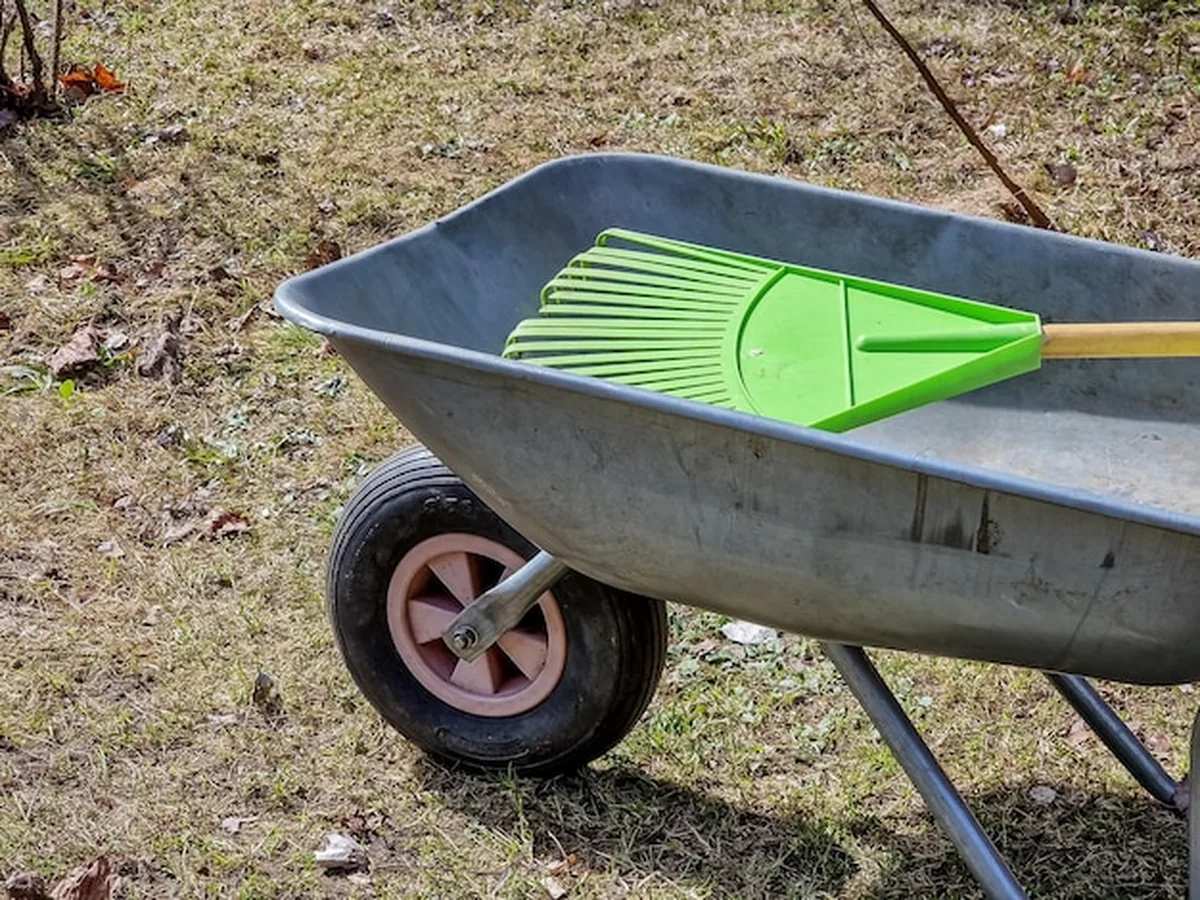 Metalowy wózek ogrodowy w ogrodzie, prace ogrodowe, sadzenie sadzonek na klombie i wózku w parku wiosną