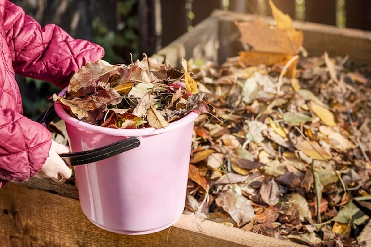 Kosz na kompost z opadłymi liśćmi w ogrodzie