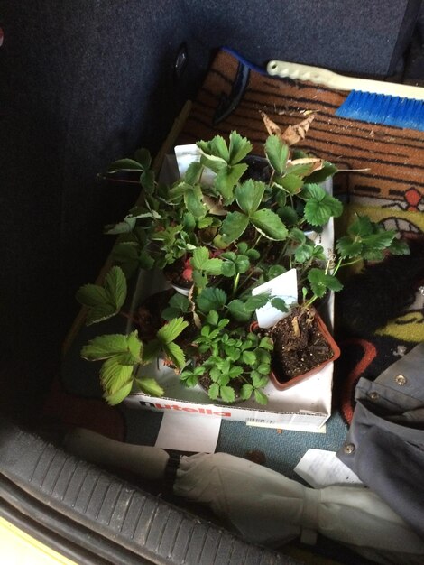 Jak zrobić kompostownik na balkon? Praktyczne porady balkonowe