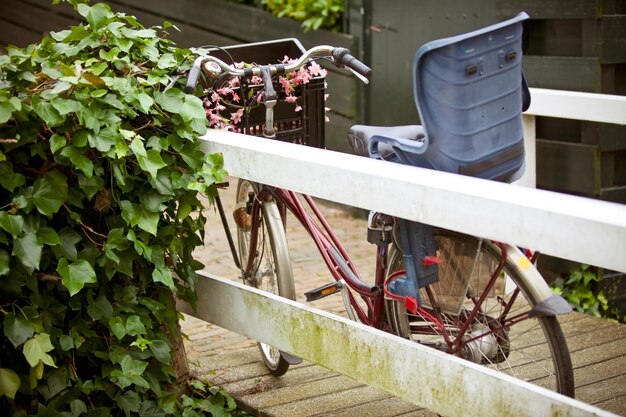 Schowek ogrodowy na rowery – jak wybrać najlepszy?