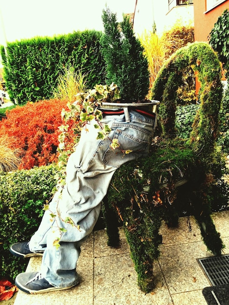 Stylowy ogród – jak stworzyć modną przestrzeń ogrodową?