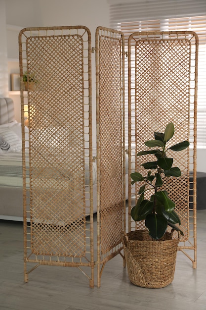 Szafa rattan – naturalny mebel do Twojego wnętrza